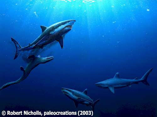 Cretaceous Jaws
� Robert Nicholls, 
www.paleocreations.com