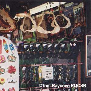 Shark Jaws in Market
©Tom Raycove, RQCSR