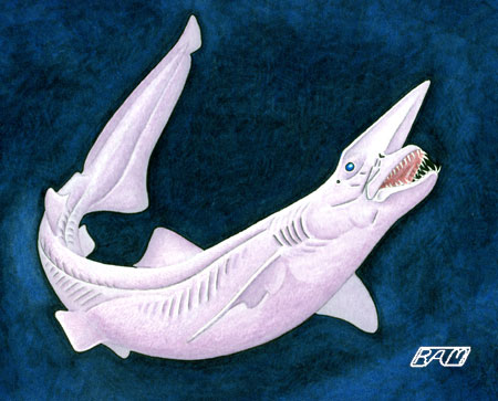 � R.Aidan Martin, ReefQuest Centre for Shark Research