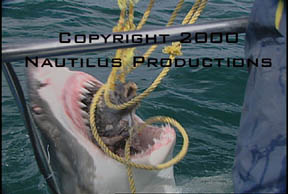 Jaw Protrusion � Nautilus Productions